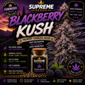 BlackBerry Autoflower Seeds
