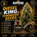 Diesel King Feminized Seeds