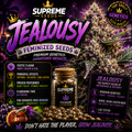 Jealousy Feminized Seeds