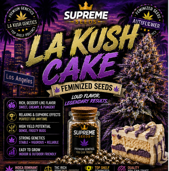 LA Kush Cake Feminized Seeds