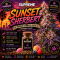 Sunset Sherbet Feminized Seeds