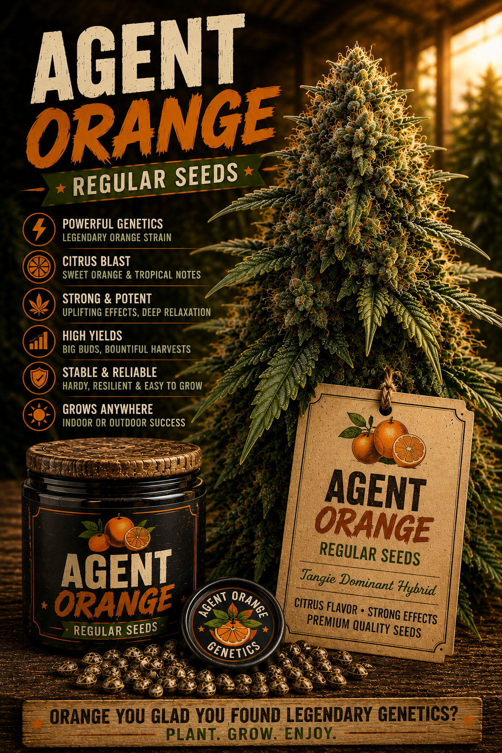 Agent Orange Regular Seeds