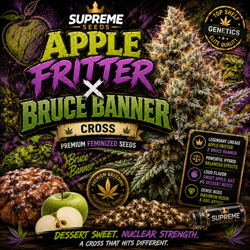 Apple Fritter Autoflower Seeds