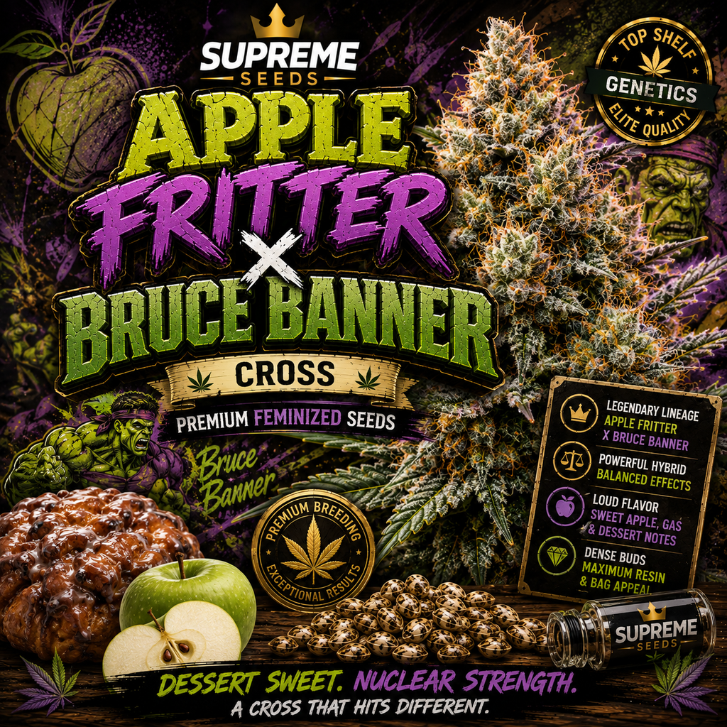 Bruce Banner Regular Seeds