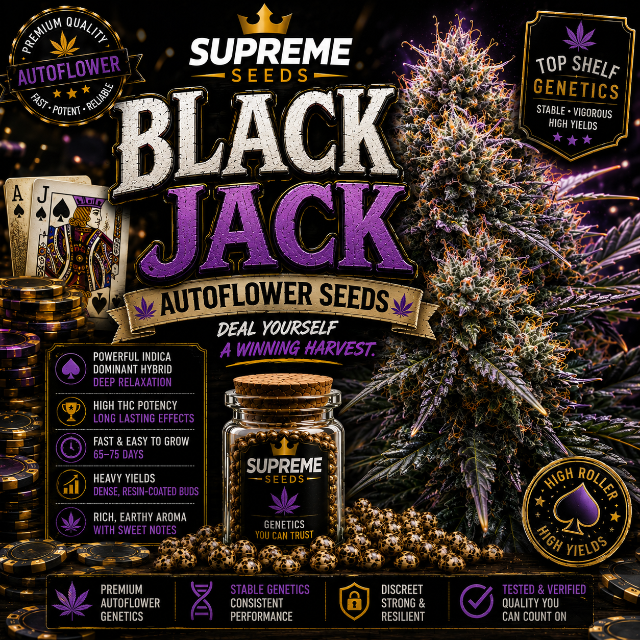 Black Jack Autoflower Seeds