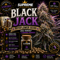 Black Jack Autoflower Seeds