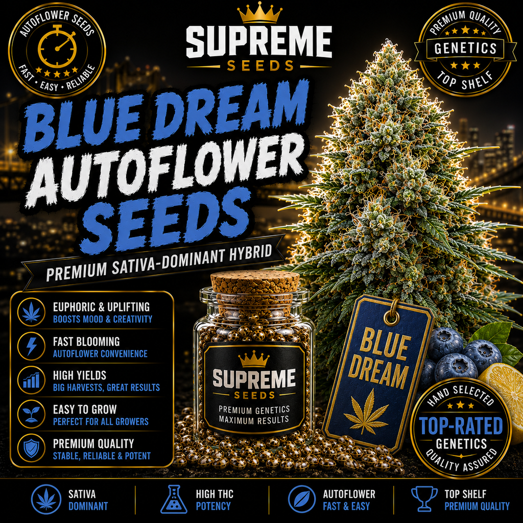 Blue Dream Autoflower Seeds