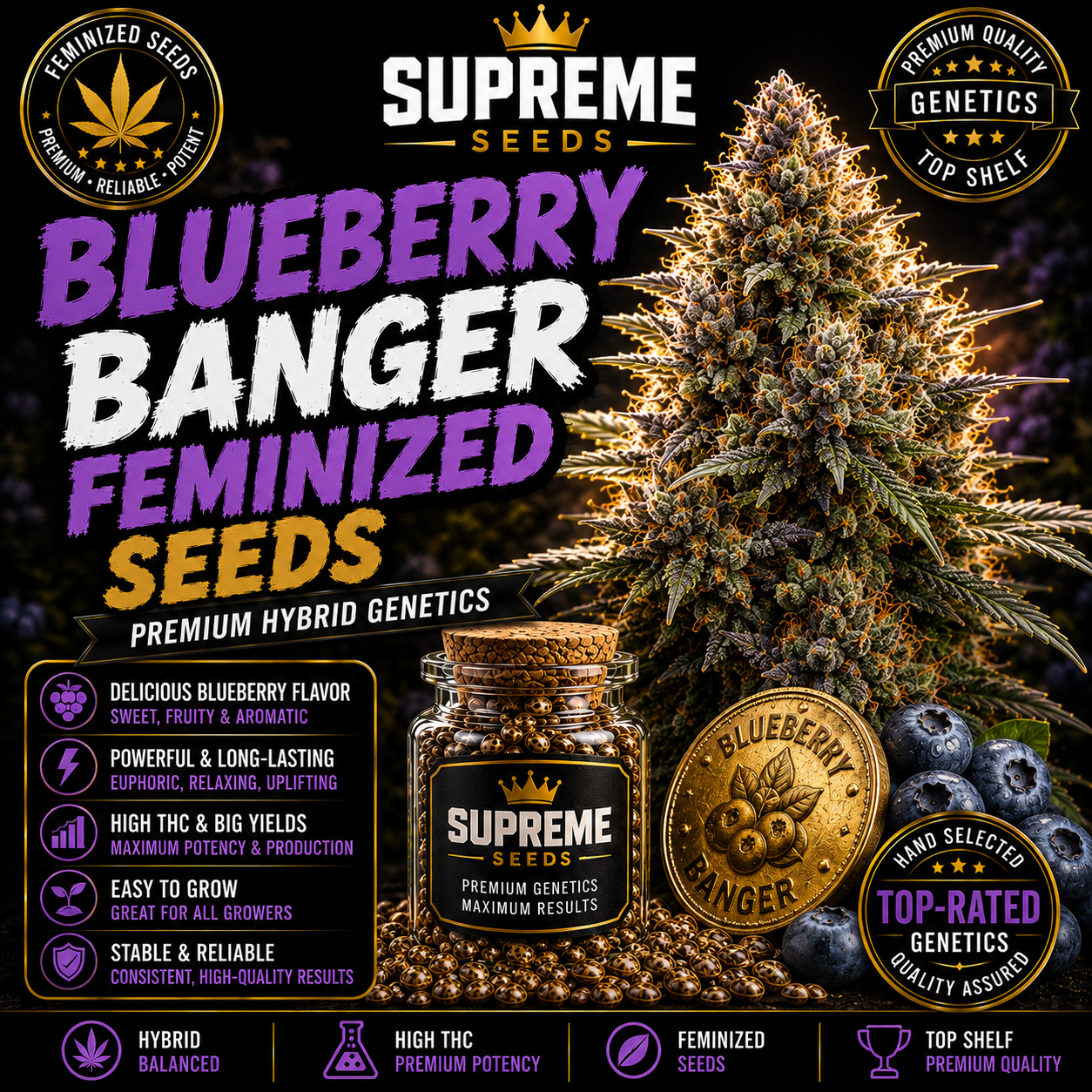 Blueberry Banger Feminized Seeds