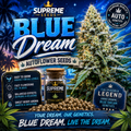 Blue Dream Autoflower Seeds