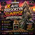 Auto Brooklyn Sunrise