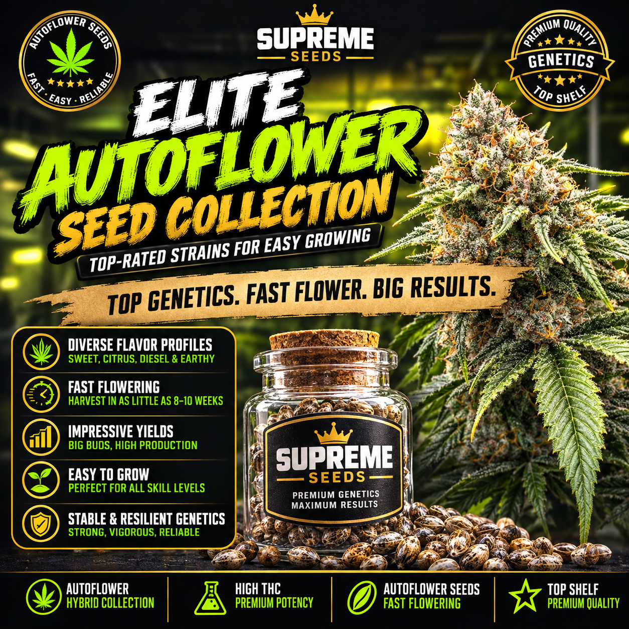 Elite Indoor Autoflower Seed Collection