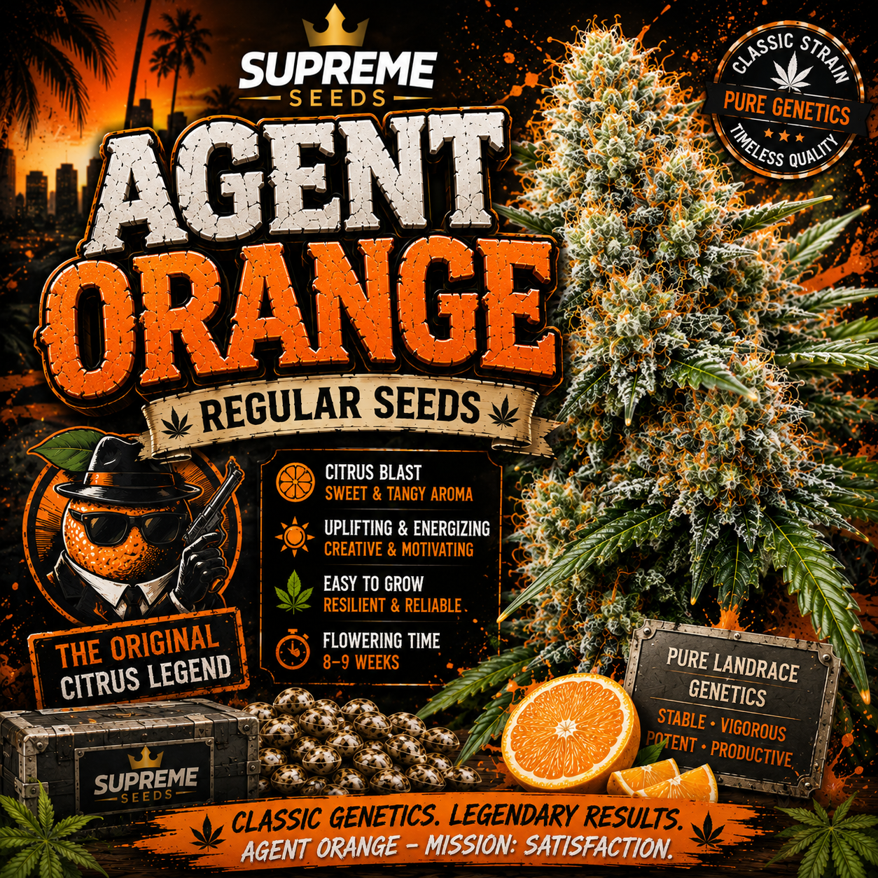 Agent Orange Regular Seeds