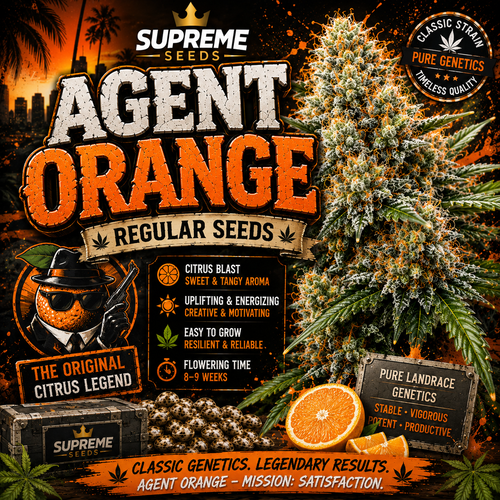 Agent Orange Regular Seeds