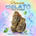 Premium Gelato THCa Flower | High-Potency Hybrid Hemp