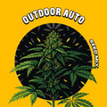 Outdoor Autoflower Seed Mix