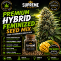 Premium Hybrid Feminized Seed Mix