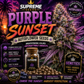 Purple Sunset Autoflower Seeds