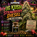 Bruce Banner Regular Seeds