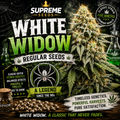 White Widow Regular Seeds